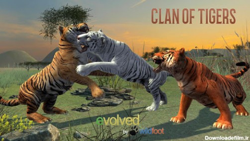 دانلود بازی Clan of Tigers برای اندروید | مایکت