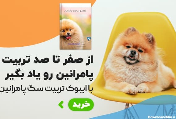 کتاب آموزش سگ پامرانین