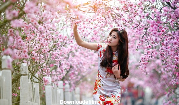 عکس دختر زیبای ژاپنی در میان شکوفه گلهای بهاری درختان