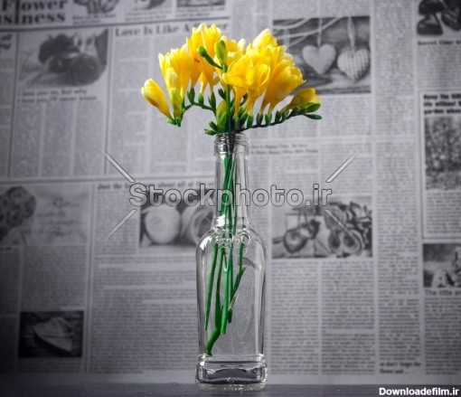 گل زرد در گلدان - گل ها - طبیعت - استوک فوتو - خرید عکس و فروش عکس ...