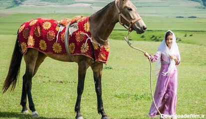 اسب حیوانی جدا نشدنی از فرهنگ ترکمن‌ های ایران | لست سکند