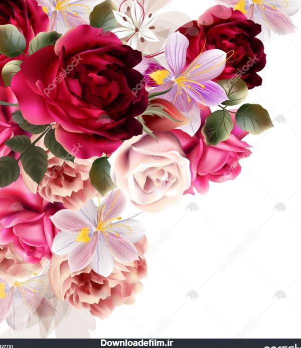 پس زمینه زیبا با گل رز و گل سنبل تصویر برداری 1427751