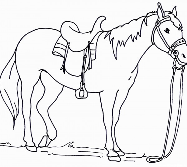 مدل طرح بی رنگ نقاشی اسب ساده برای رنگ آمیزی کودکان