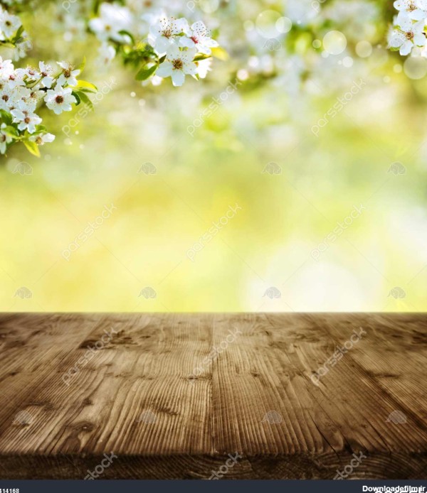 خالی جدول چوبی روستایی با شکوفه های گیلاس و پس زمینه بهار برای ...