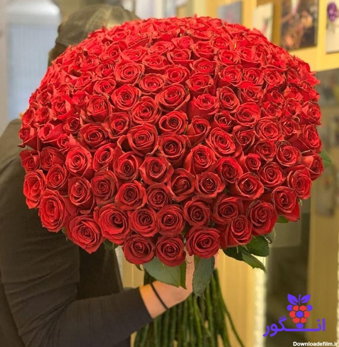 سفارش آنلاین دسته گل رز بزرگ برای مناسبت های عاشقانه | گل فروشی انگور