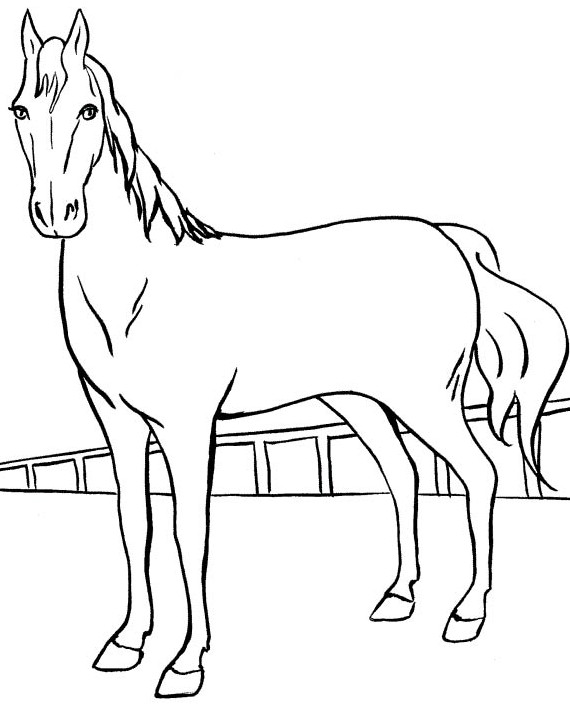 ۵۰ ایده برای نقاشی اسب کودکانه با طرح‌های زیبا، ساده و آسان | ستاره