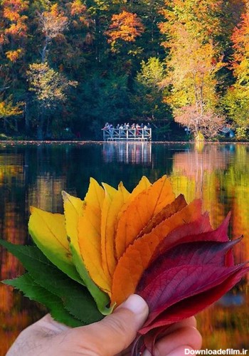 عکس زیبای پاییز برای پروفایل