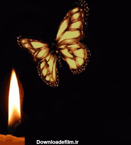 عکس شمع پروانه عاشقانه