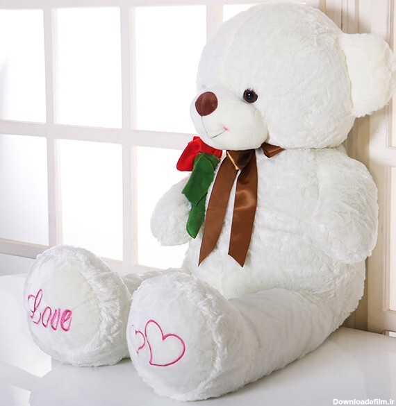 عروسک خرس BonBon Teddy مدلW + یک شاخه گل رز هلندی | 🌹 گل فروشی ...