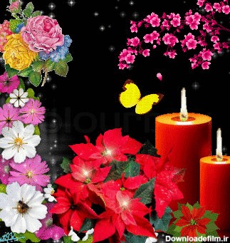 شمع و گل و پروانه