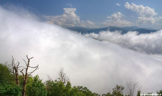 جنگل ابر کجاست | جنگل‌نوردی میان اقیانوسی از ابر | مجله پینورست ...