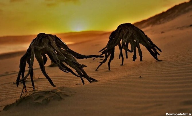 فرارو | (عکس) موجودات ترسناک در ساحل؛ نترسید این‌ها بیگانگان ...