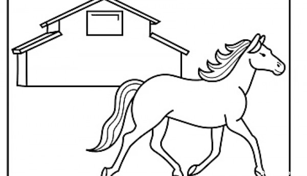 عکس یک اسب برای نقاشی