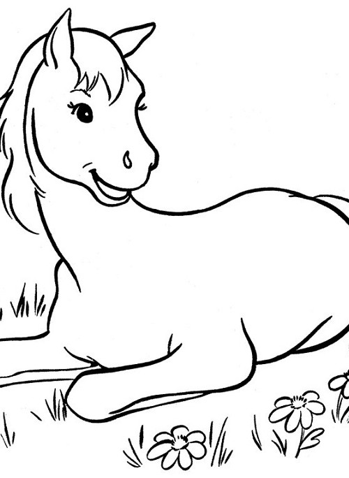 نقاشی های کودکانه از اسب ، اسب سوارکار و اسب بالدار | جدول یاب