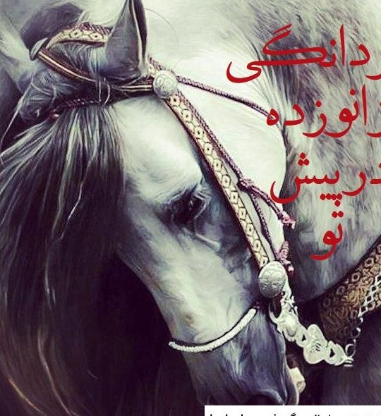 عکس امام حسین با اسب ❤️ [ بهترین تصاویر ]