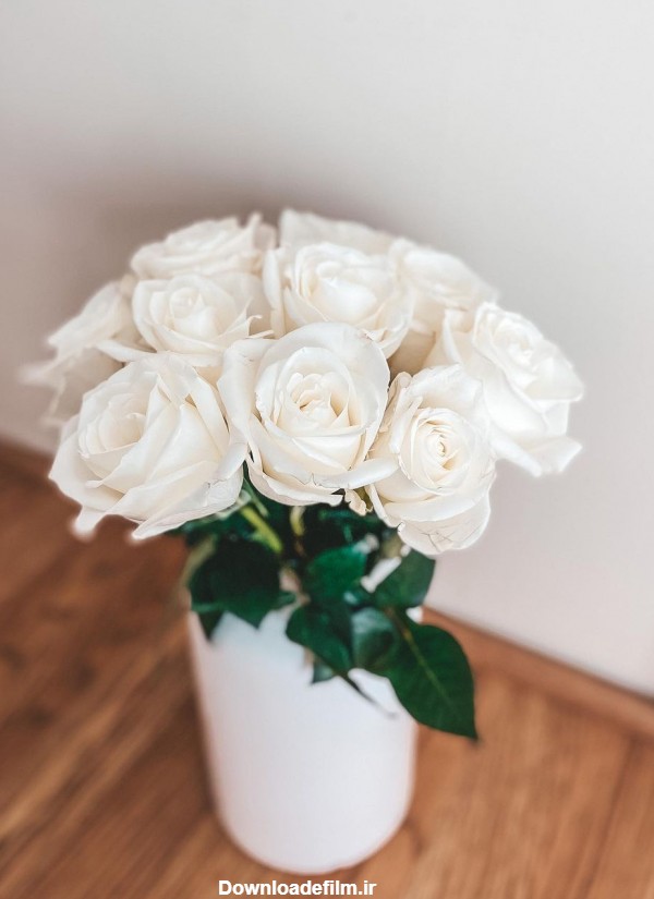 عکس دسته گل رز سفید و زیبا برای تصویر زمینه