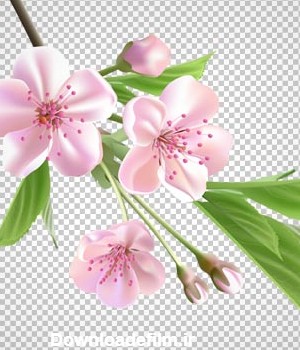 تصویر کارتونی شاخه درخت و شکوفه های بهاری با پسوند png