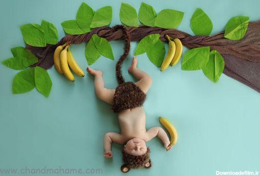 تم عکاسی میوه ای برای نوزادان - چندماهمه