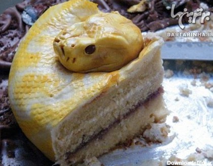 آیا جرئت خوردن این کیک را دارید؟! +عکس