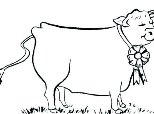 نقاشی گاو برای کودکان