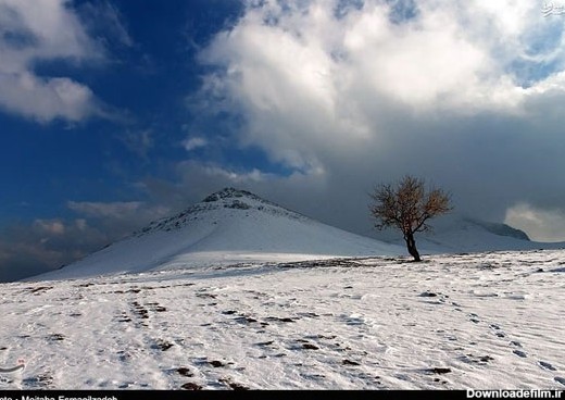 عکس: طبیعت برفی آذربایجان غربی