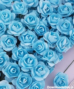 گل رز کوچک آبی فیروزه ای - فروشگاه اینترنتی فادیا