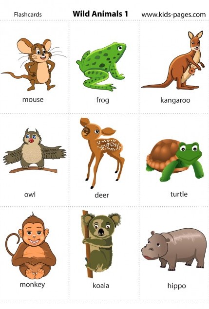 آموزش نام حیوانات وحشی به کودکان (انگلیسی و فارسی)
