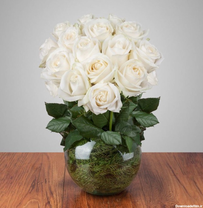 سفارش و خرید آنلاین گلدان گل رز سفید |گل بازار