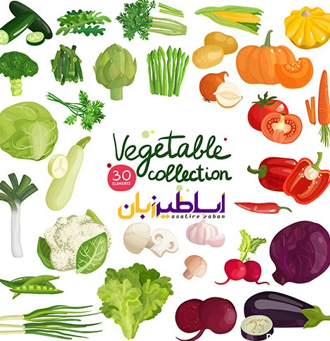 سبزیجات به انگلیسی