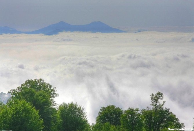 Jangale Abr, Sahrud (Cloud forest) - Iran Travel Guide - Trip Yar