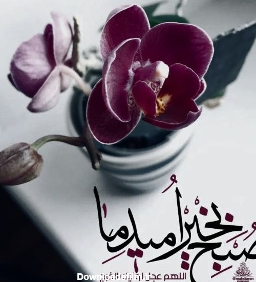 عکس نوشته سلام صبح بخیر خدایی (57 عکس نوشته دلنشین)| مجله عکس نوشته