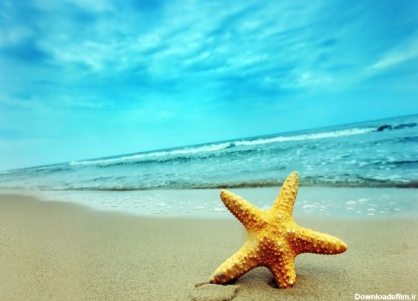دانلود پروفایل رایگان تابستونی با طرح ستاره دریایی گوگولی در ساحل خنک دریا