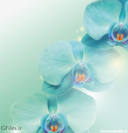پس زمینه رایگان وکتوری با طرح گل های ارکیده آبی (لایه باز)(free vector Butterfly flower Set)