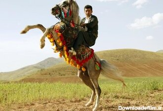 جشنواره «اسب اصیل کرد» در کرمانشاه برگزار می‌شود 