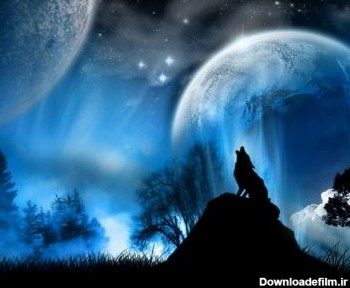 والپیپر زیبا از گرگ wolf wallpaper