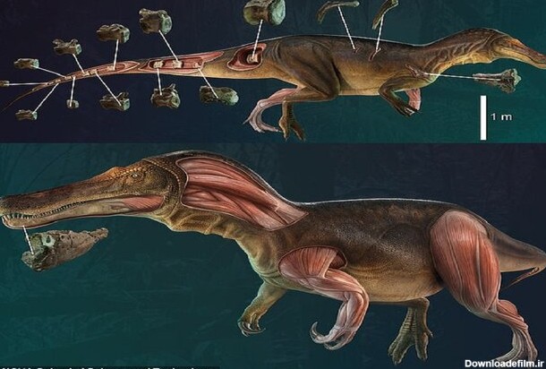 شناسایی یک دایناسور جدید و عجیب