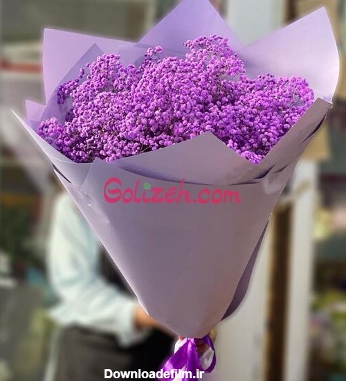 گل عروس بنفش | خرید گل ژیپسوفیلیا با رنگ های مختلف و جذاب | دسته ...