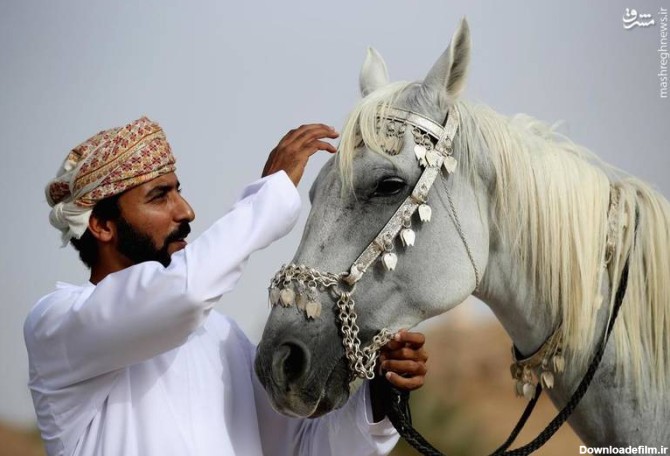 مشرق نیوز - عکس/ نمایش اسب ها در عمان‎