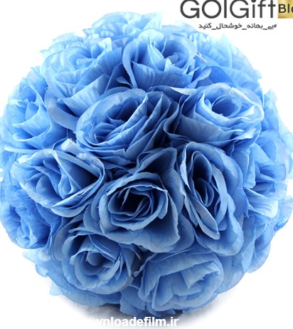 گل رز  آبی زیبا و خاص