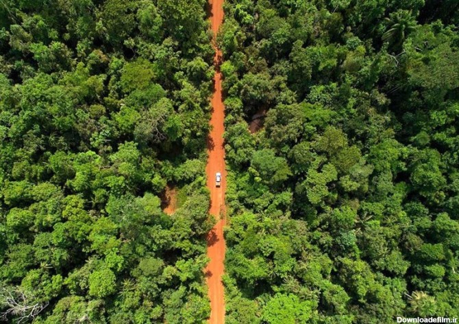 عکس / جاده محلی داخل جنگل آمازون - تسنیم