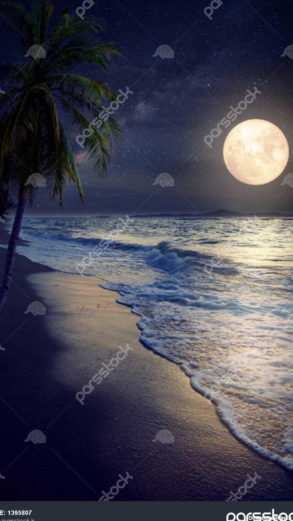 ساحل زیبای فانتزی گرمسیری با ستاره شیری در آسمان شب ماه کامل آثار ...