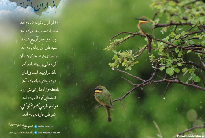 باز باران با ترانه - عکس ویسگون