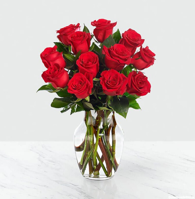 گلدان گل رز قرمز (آمریکا) | تحویل گل در سراسر امریکا | گل فروشی ...