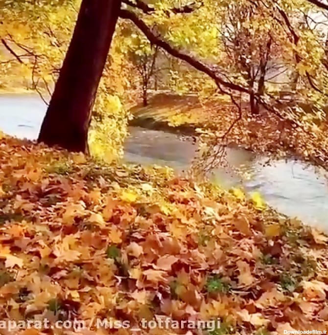 کلیپ پاییزی / طبیعت زیبا در فصل پاییز
