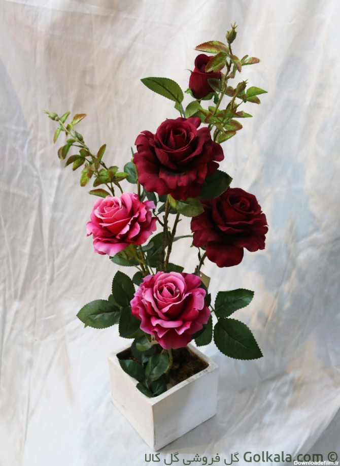 گلدان رز قرمز صورتی هلندی | گلفروشی گل کالا | 50 هزار تومان