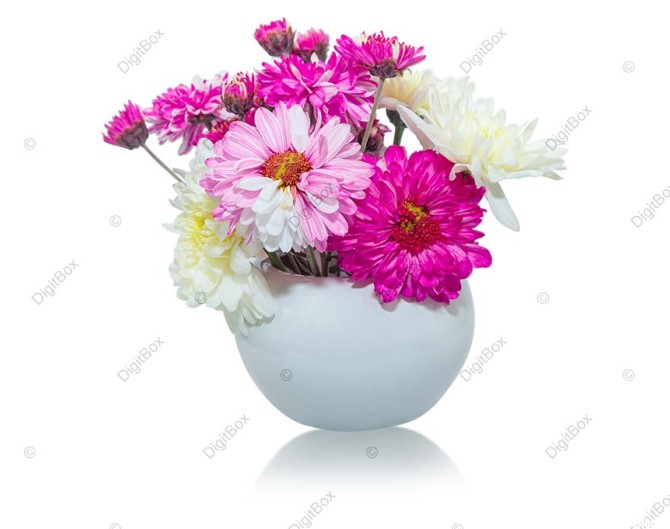 عکس گلدان با گل های سفید صورتی - دیجیت باکس - DigitBox