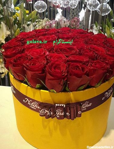 عکس باکس گل رز زرد و قرمز :: خرید تاج گل ختم خرید تاج گل نمایشگاه ...