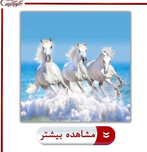 تصاویر تابلو اسب | تابلو اسب های دوان | خرید، فروش و قیمت تابلو اسب