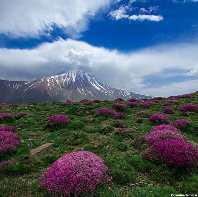 تصاویری ناب و زیبا از ایران زمین