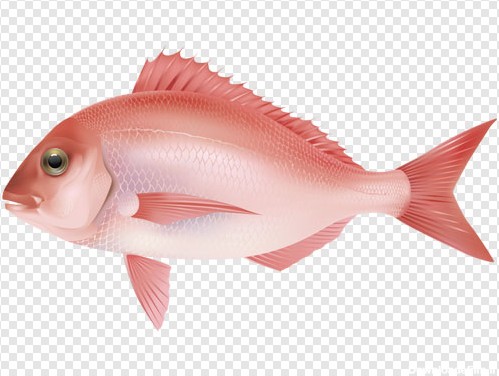 فایل png دوربری شده و ترانسپرنت ماهی قرمز
